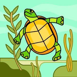 Meet your Posher, Timothy